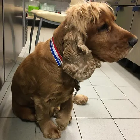 Tres Beau Au Centre Historique De Apartment Riez